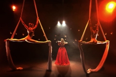 ThreesixtyShows-Violine-Vertikaltuch-Duo-02