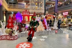 IMG_E6791
