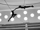 Vertical Dance Show in Berlin
